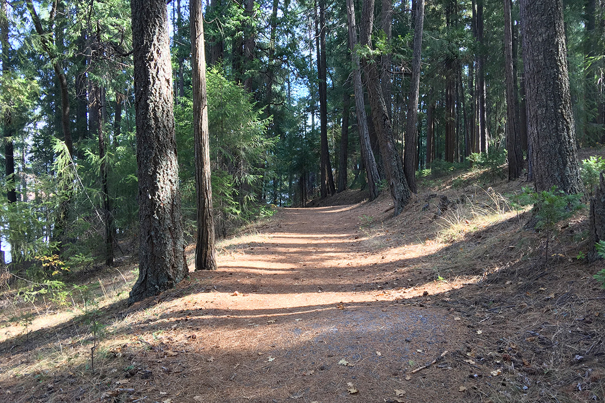 sly park mountain biking