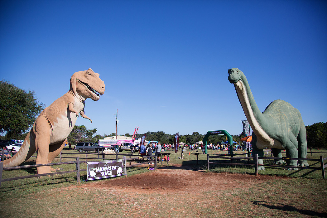 28+ Dinosaur Valley Trail Run 2022 AvannahRosi