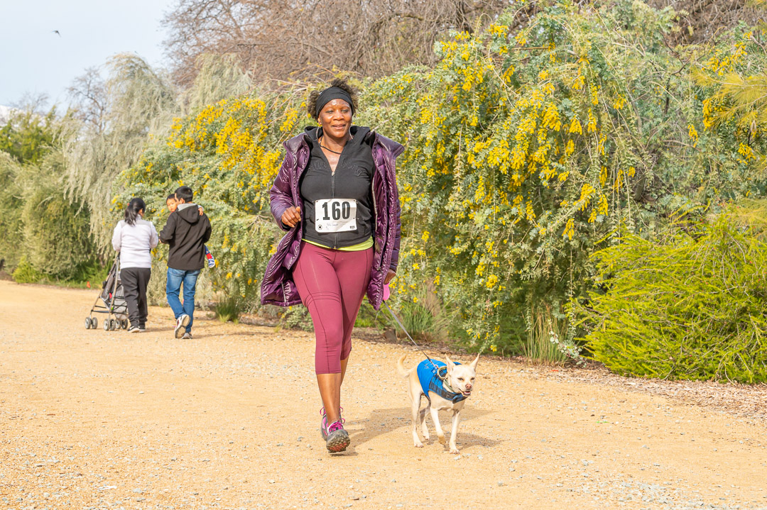 Doggie Dash 2024 FUNdraiser For The Pups At Haven Redding CA 2024   86c11e2d 8d59 4ea3 9efa 51eed85e799d 