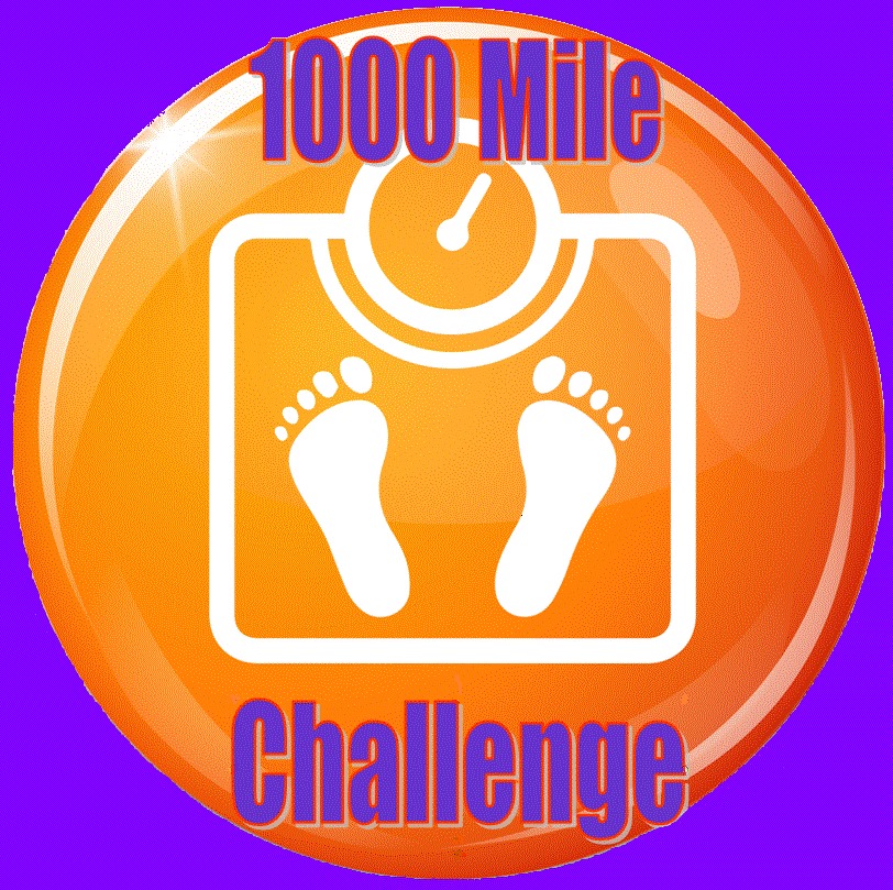 500 mile running challenge 2021