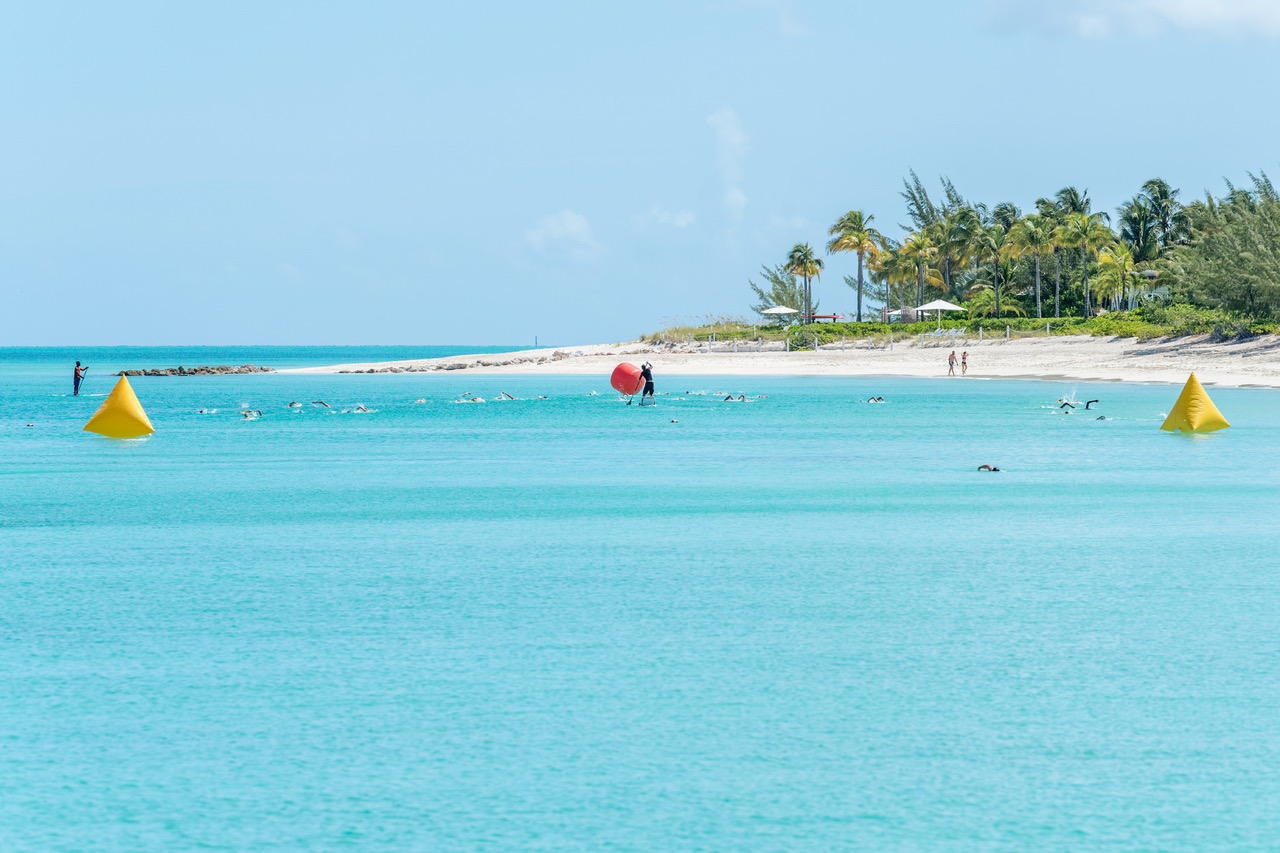 Turks Caicos Race For The Conch EcoSeaSwim 2024 Providenciales   8d30968c 38d2 44d4 B6df 982a6b7a2026 