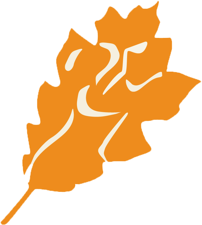 Fall Blast 2013 Lititz, PA 2013 ACTIVE