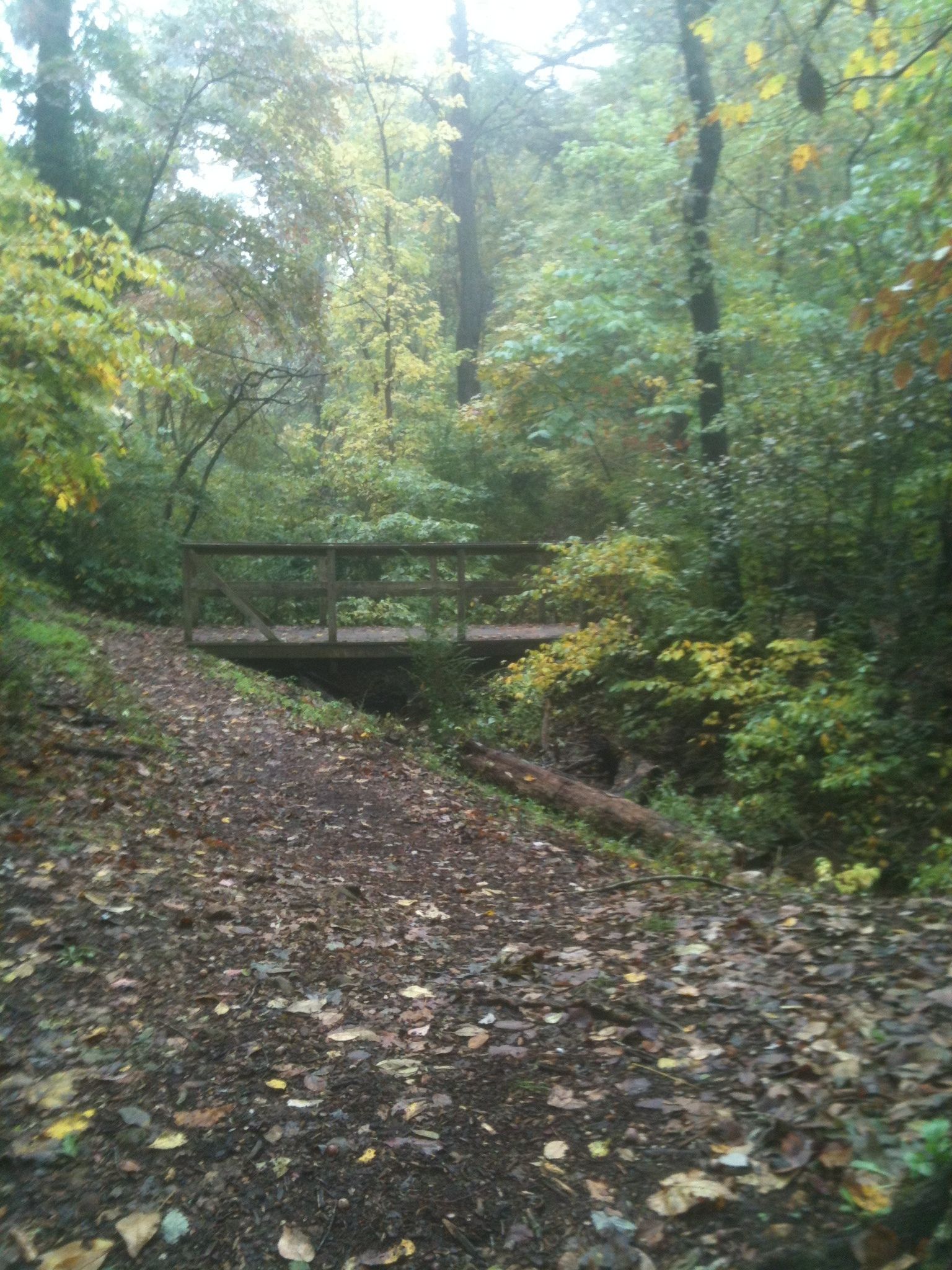 Lake Atalanta Trail and Road Duathlon Powered by the Everyman Series