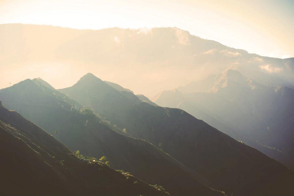 Aa7580f3 313a 4635 bc4b eddfd18bfd8e