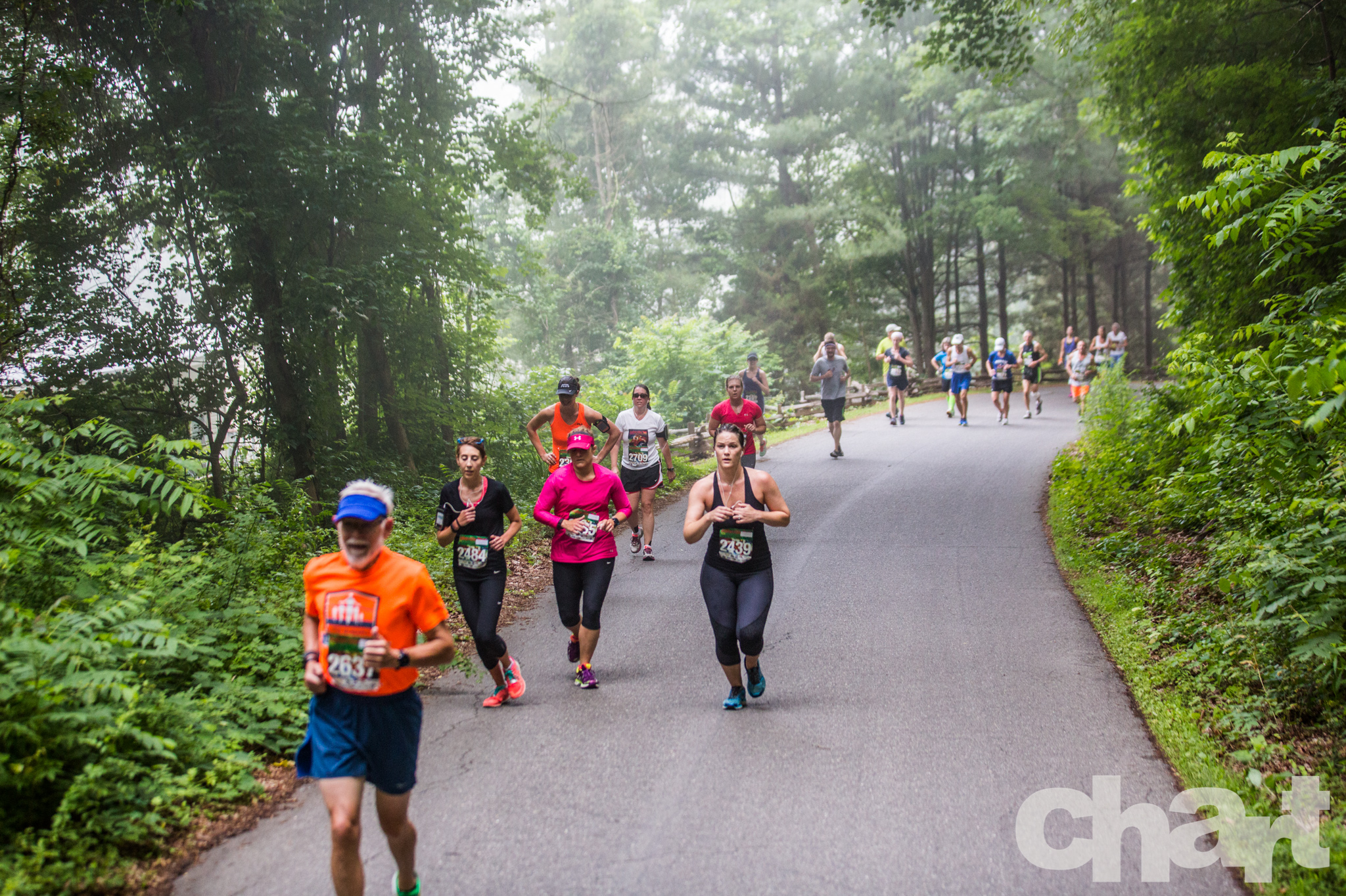 Asheville Half Marathon and 10k Asheville, NC 2016 ACTIVE