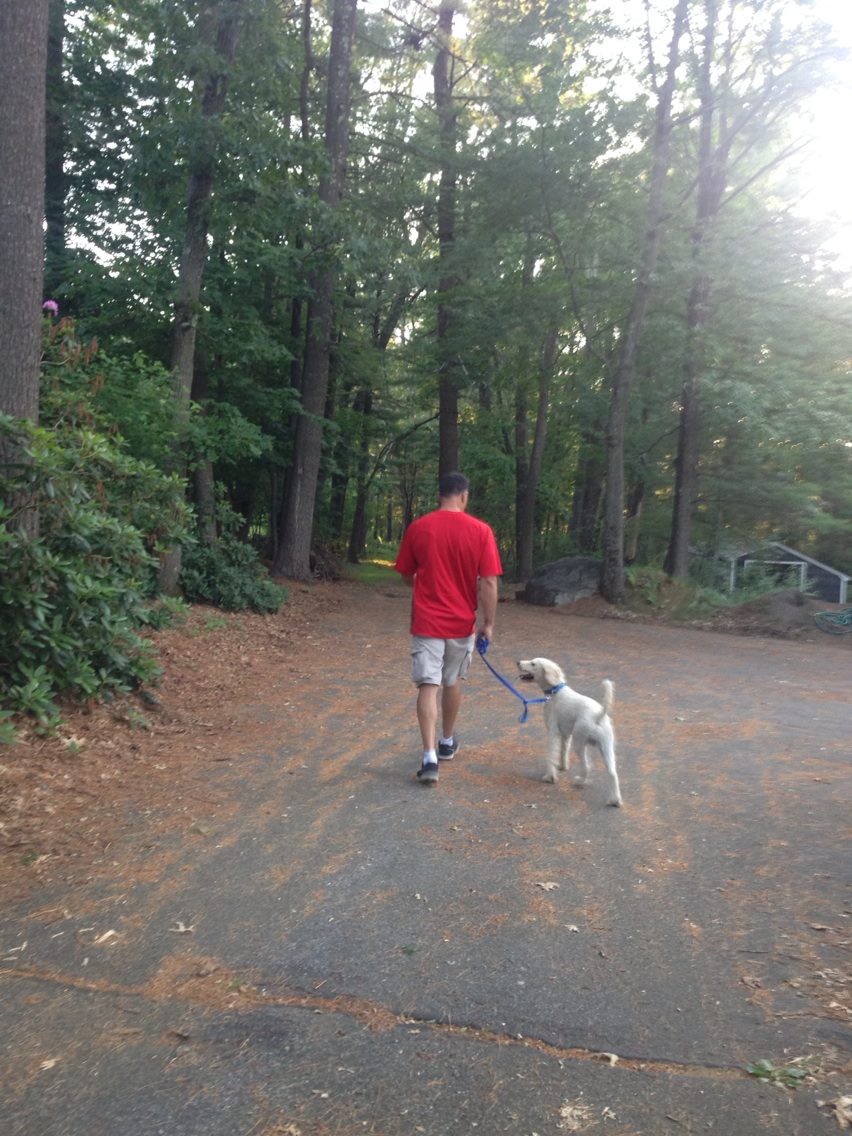 APAW DOG DAY AT THE PARK 2015 Hopkinton, MA 2015 ACTIVE