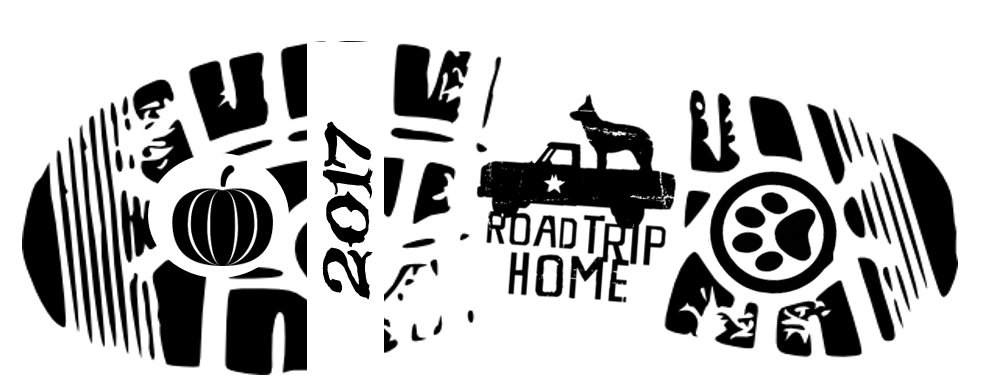 C321f05b-c11d-4741-aa9b-4618392a6e70