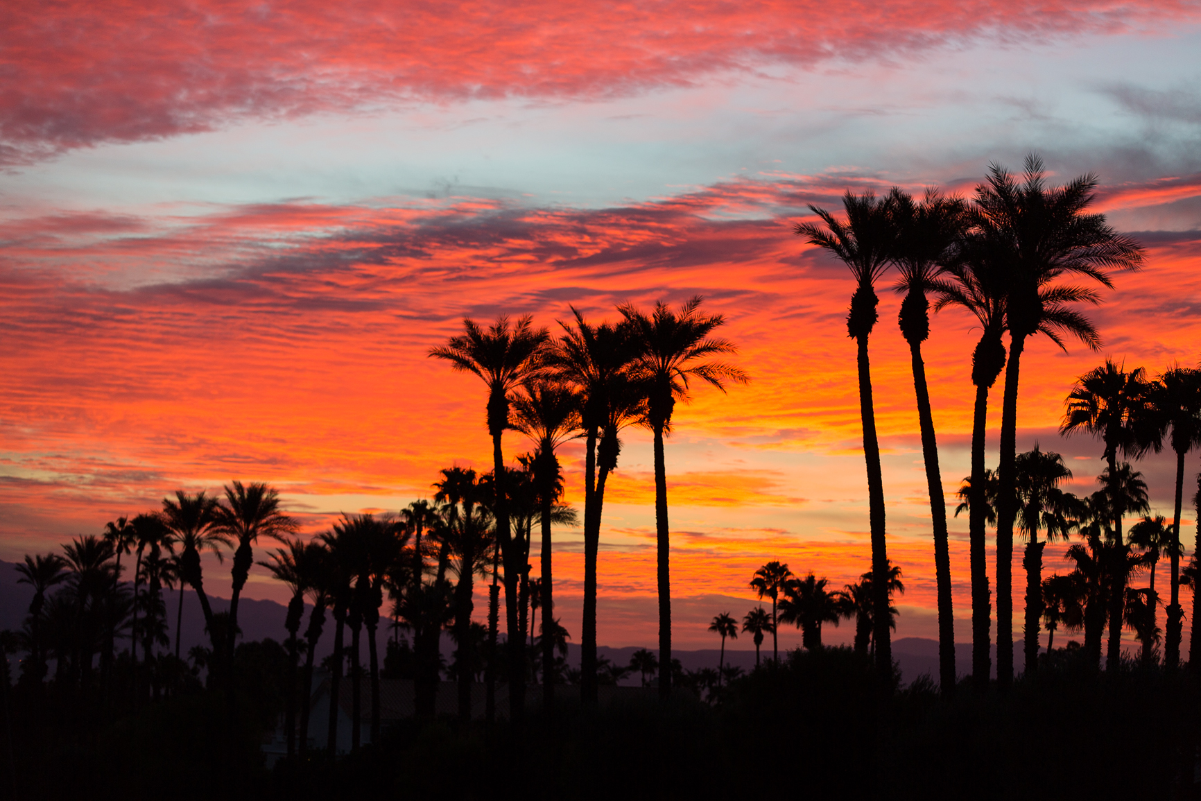 2017 Palm Desert Century - Palm Desert, CA 2017 | ACTIVE