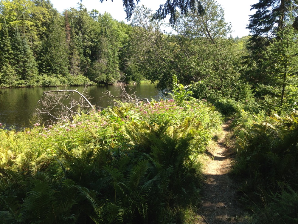 Tahqua Trail Run 2024 Paradise, MI 2024